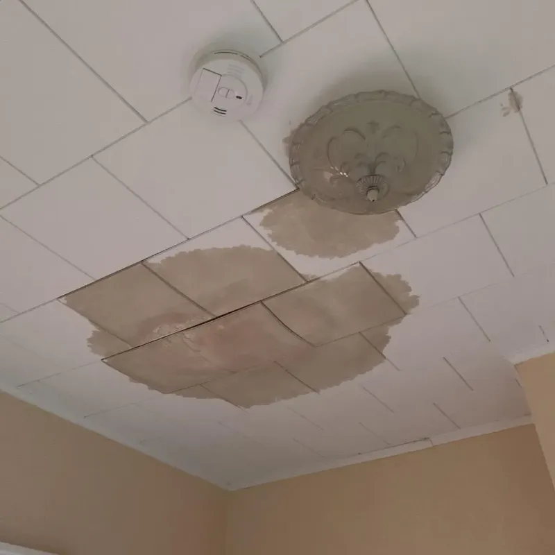 Ceiling Water Damage Repair in Lake Ripley, WI
