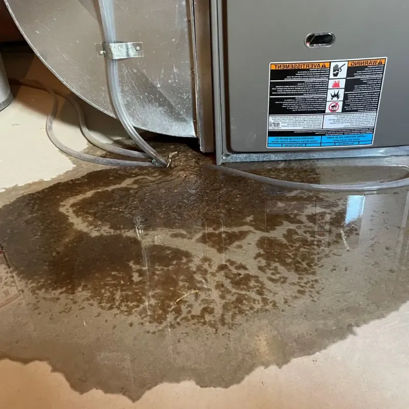 Pipe Burst and Leak Restoration in Lake Ripley, WI